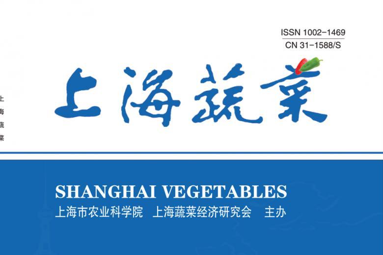 上海蔬菜