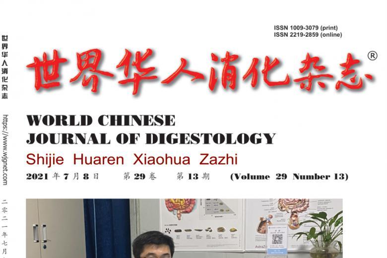 世界华人消化