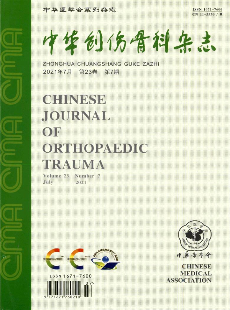 中华创伤骨科杂志封面