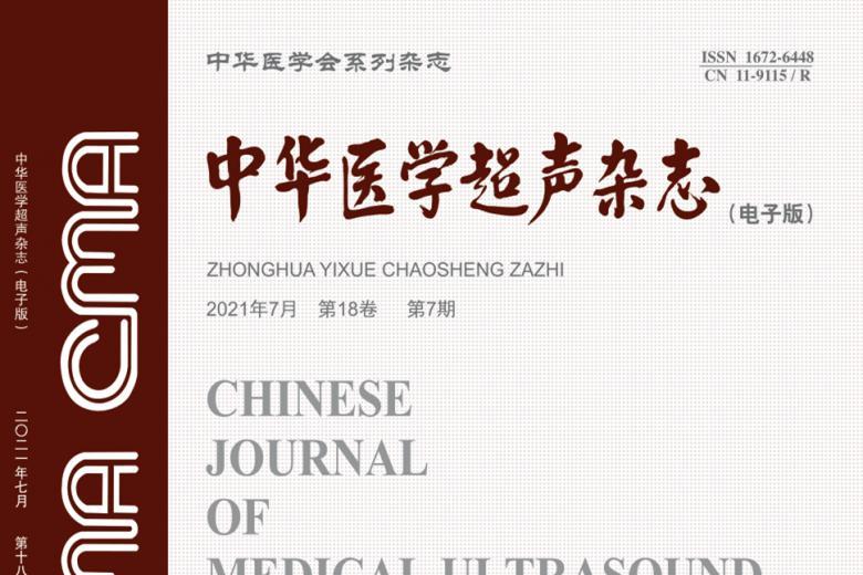 中华医学超声
