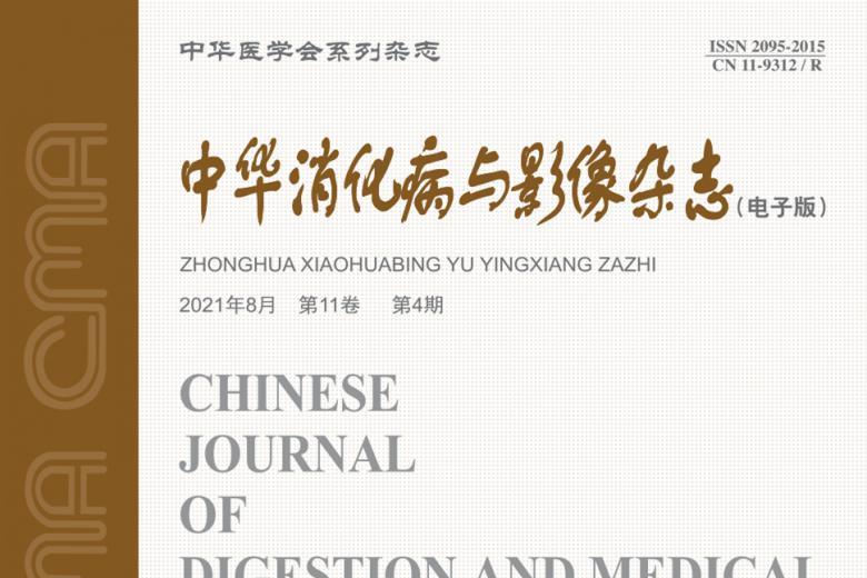 中华消化病与影像