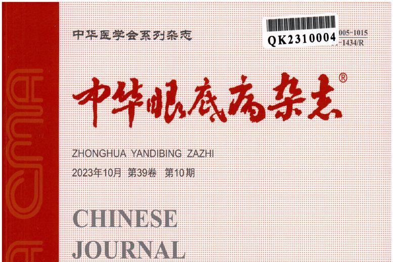 中华眼底病