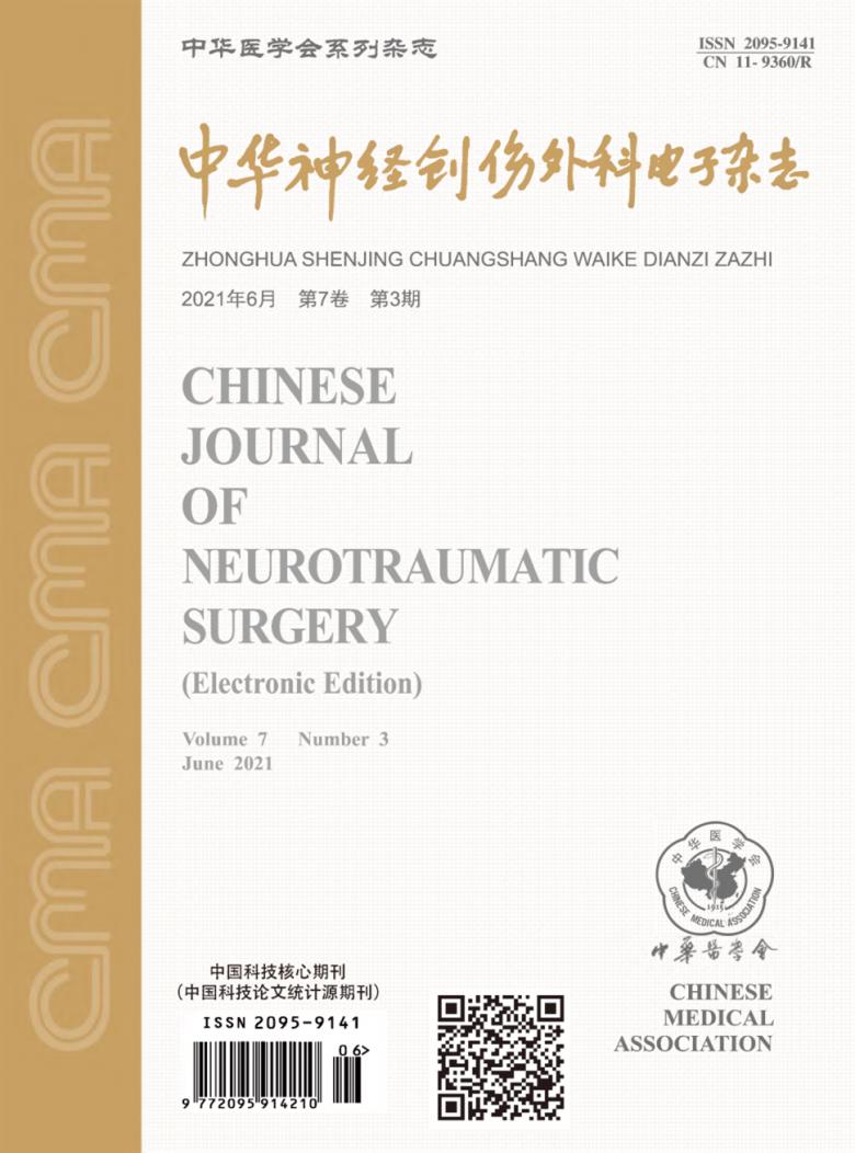 中华神经创伤外科电子杂志封面