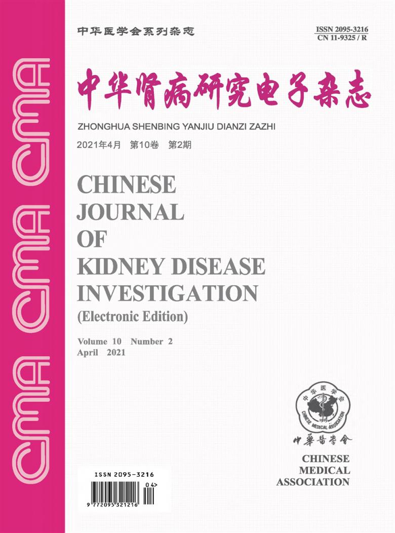 中华肾病研究电子杂志封面
