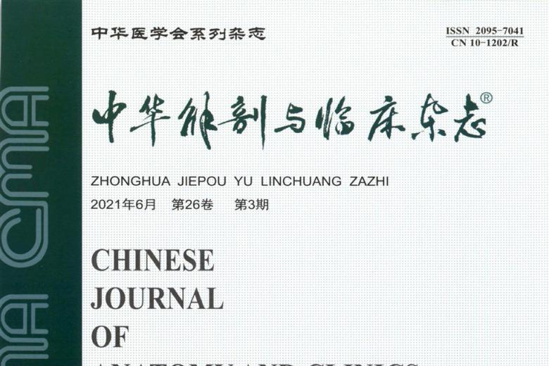 中华解剖与临床