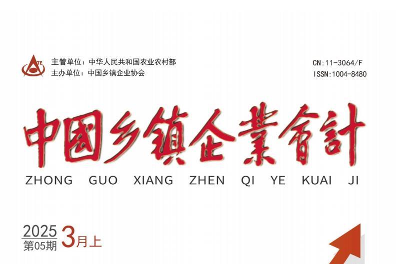 中国乡镇企业会计