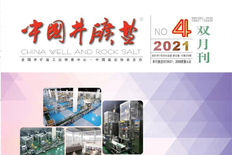 中国井矿盐