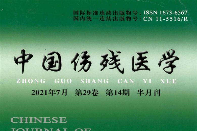 中国伤残医学