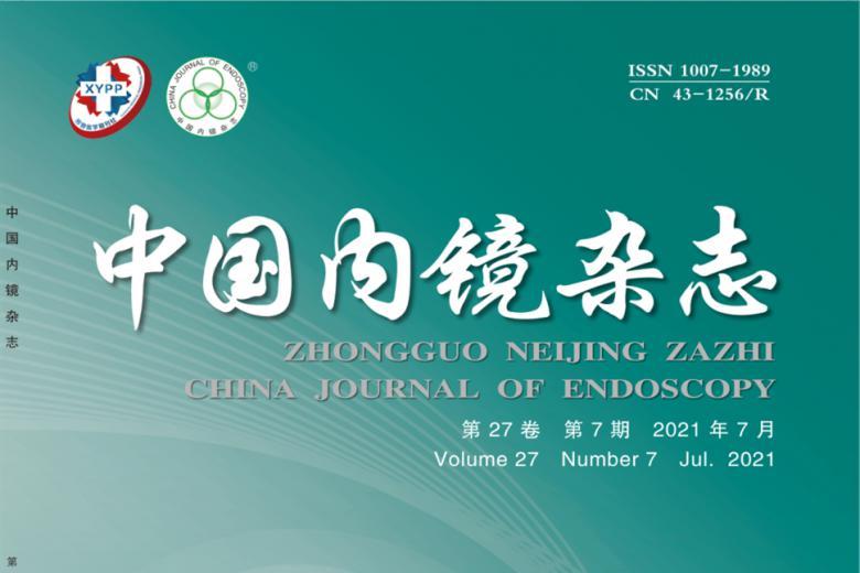 中国内镜