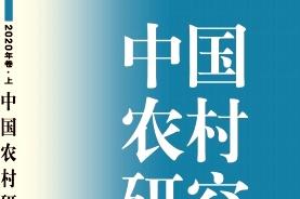 中国农村研究