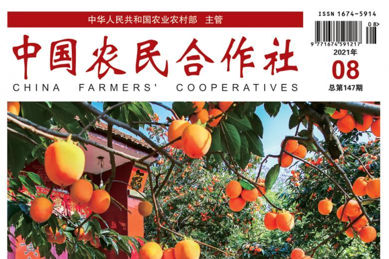 中国农民合作社