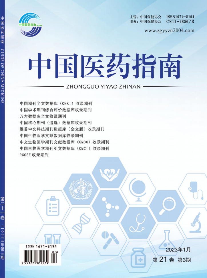 中国医药指南杂志封面