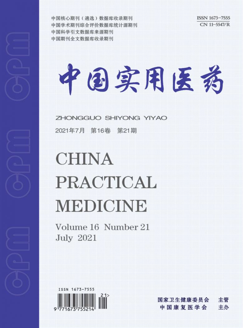 中国实用医药杂志封面