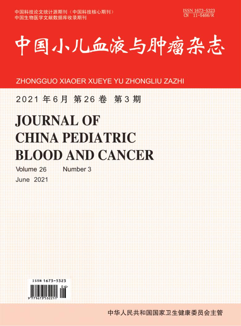 中国小儿血液与肿瘤杂志封面