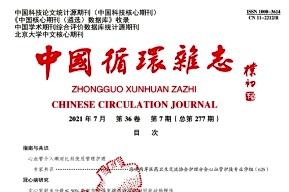 中国循环