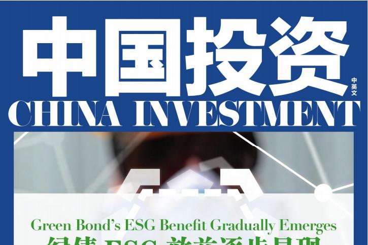 中国投资