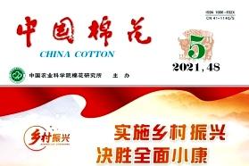 中国棉花