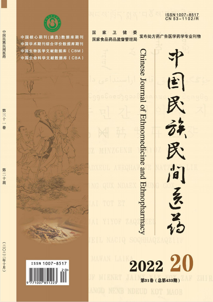中国民族民间医药封面