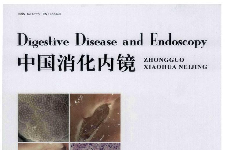 中国消化内镜