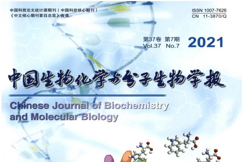 中国生物化学与分子生物学报
