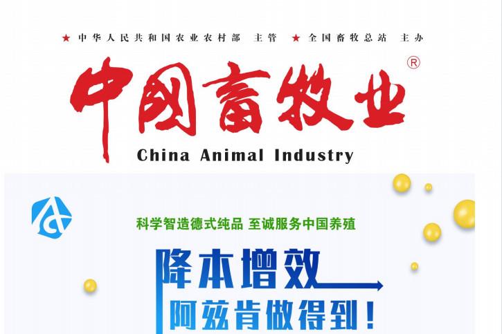 中国畜牧业