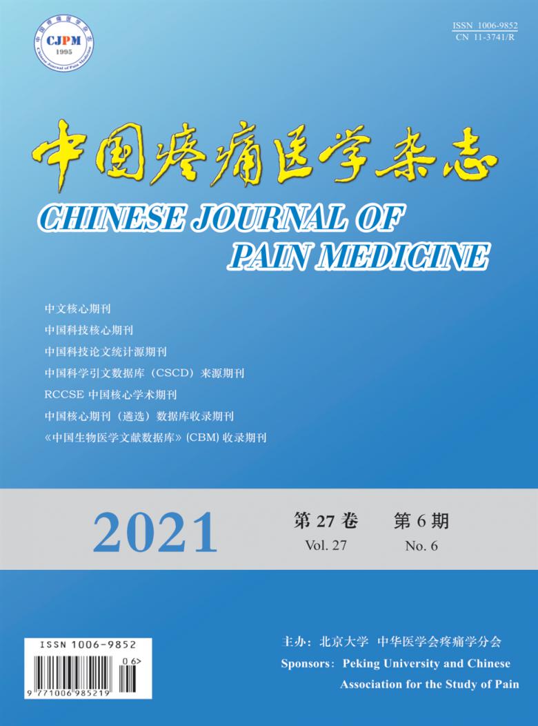 中国疼痛医学杂志封面