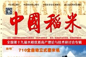 中国稻米