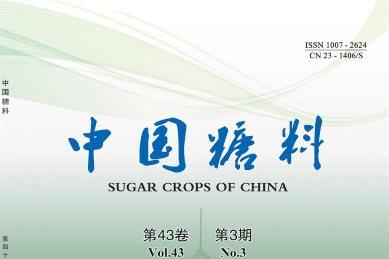 中国糖料