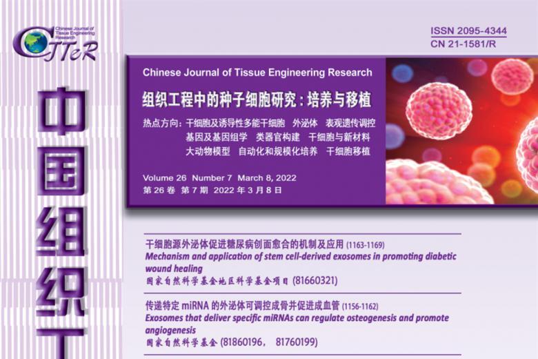 中国组织工程研究