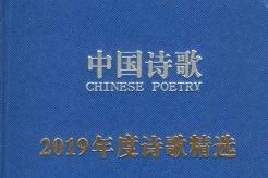 中国诗歌
