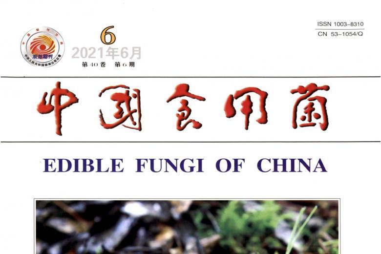 中国食用菌