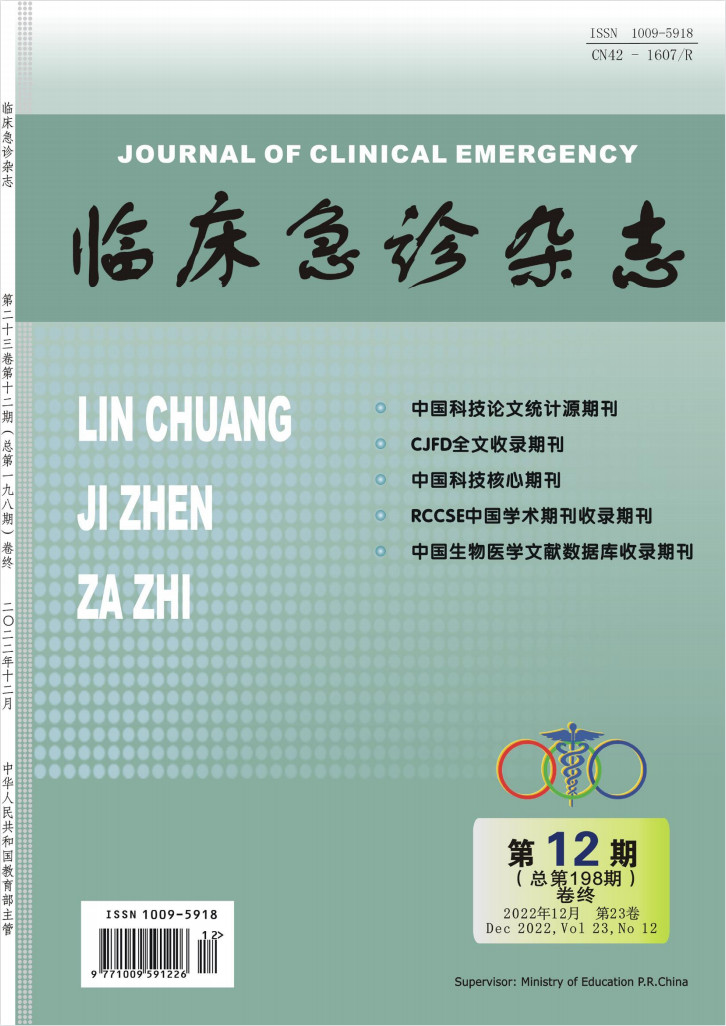 临床急诊杂志封面