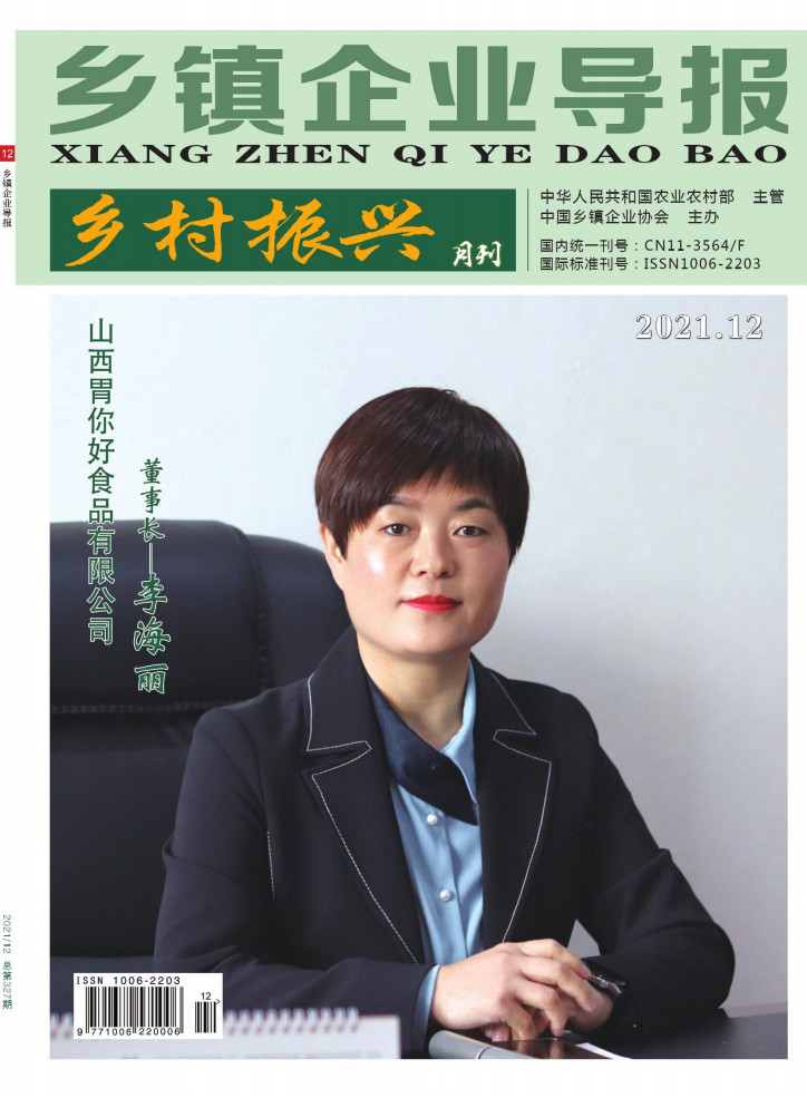 乡镇企业导报封面