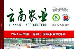 云南农业