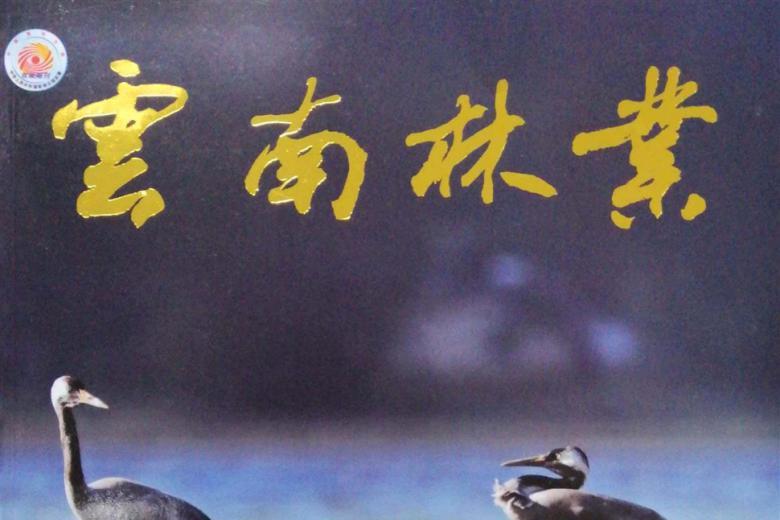 云南林业