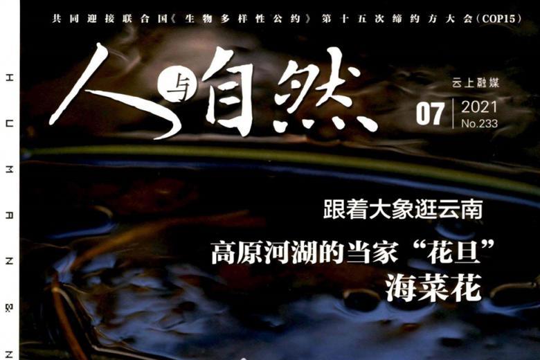 人与自然