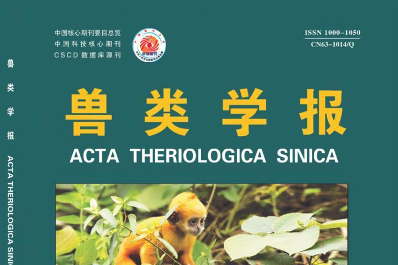 兽类学报