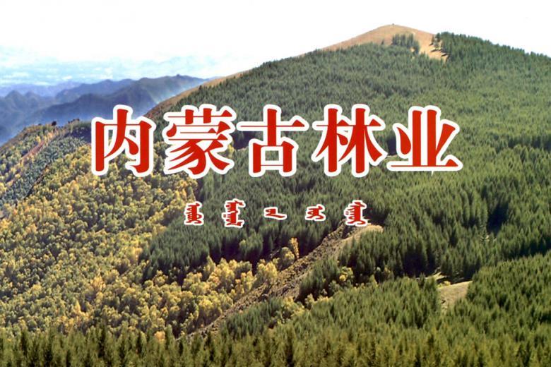 内蒙古林业