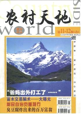 农村天地杂志封面