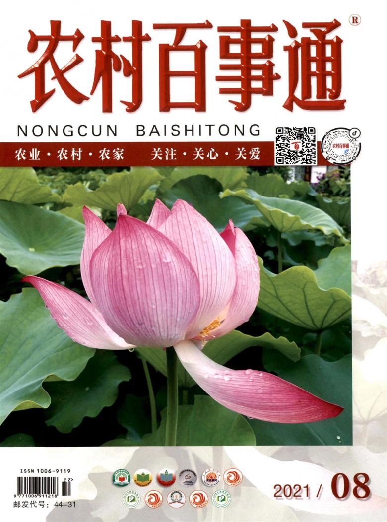 农村百事通杂志封面