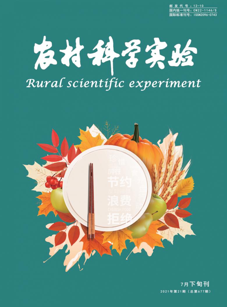 农村科学实验杂志封面