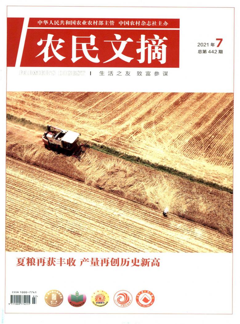 农民文摘封面