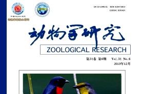 动物学研究