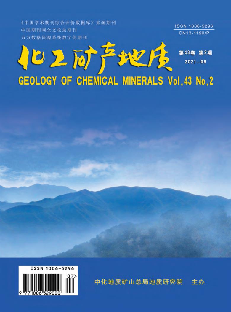 化工矿产地质杂志封面