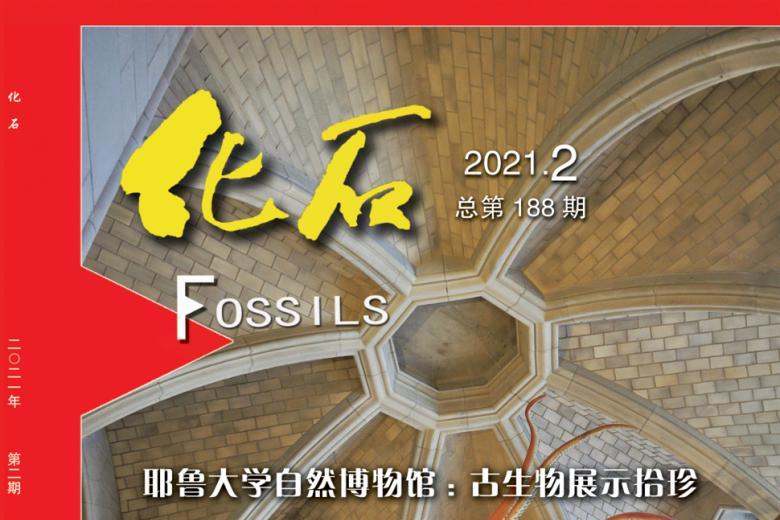 化石