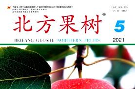 北方果树
