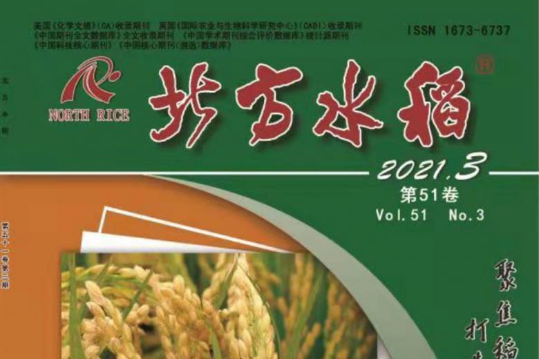 北方水稻