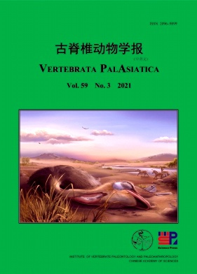 古脊椎动物学报杂志封面