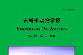 古脊椎动物学报