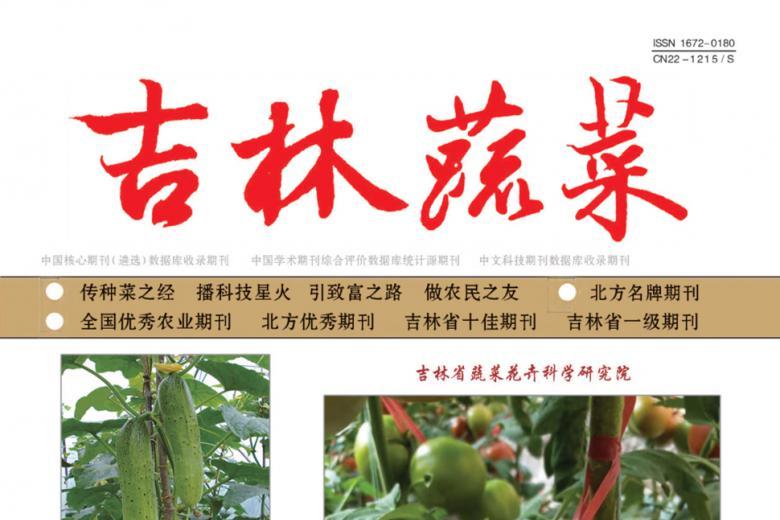 吉林蔬菜